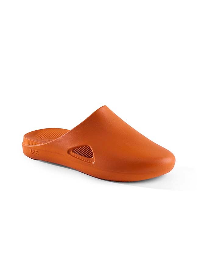 ZEE Clog-EVA - Classic-Unisex. - Image 1