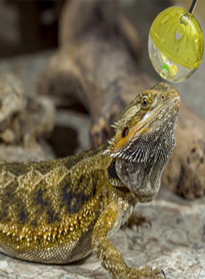 Koomduk 6 Pack Bearded Dragon Toys Balls Bell,Bearded Dragon Accessories,Fit for Lizard Small Reptile Habitat Terrarium Tank - Image 3