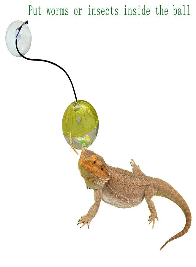 Koomduk 6 Pack Bearded Dragon Toys Balls Bell,Bearded Dragon Accessories,Fit for Lizard Small Reptile Habitat Terrarium Tank - Image 2