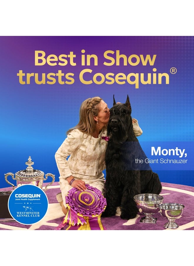 Nutramax Laboratories Nutramax Cosequin DS Joint Health Supplement for Dogs - With Glucosamine and Chondroitin, 250 Chewable Tablets  - Image 4