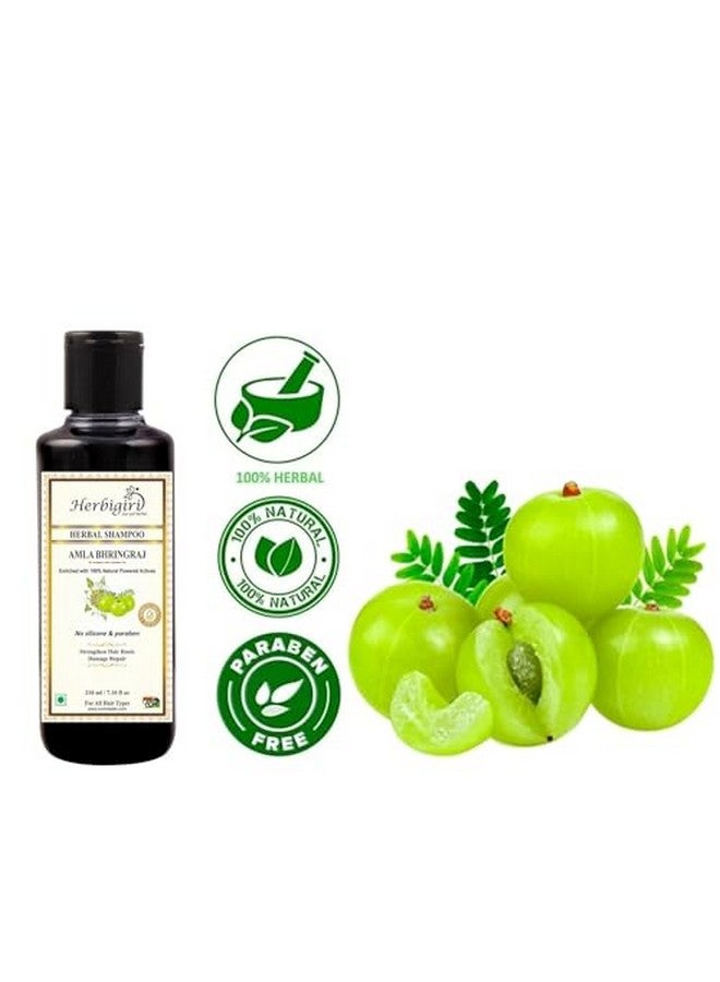Khadi Herbal Herbigiri Herbal Pure & Natural Amla Bhrinraj Shampoo L For Control Hair Loses (Pack Of 2) (420Ml) - Image 3