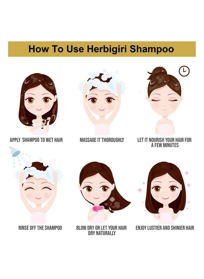 Khadi Herbal Herbigiri Herbal Pure & Natural Amla Bhrinraj Shampoo L For Control Hair Loses (Pack Of 2) (420Ml) - Image 2