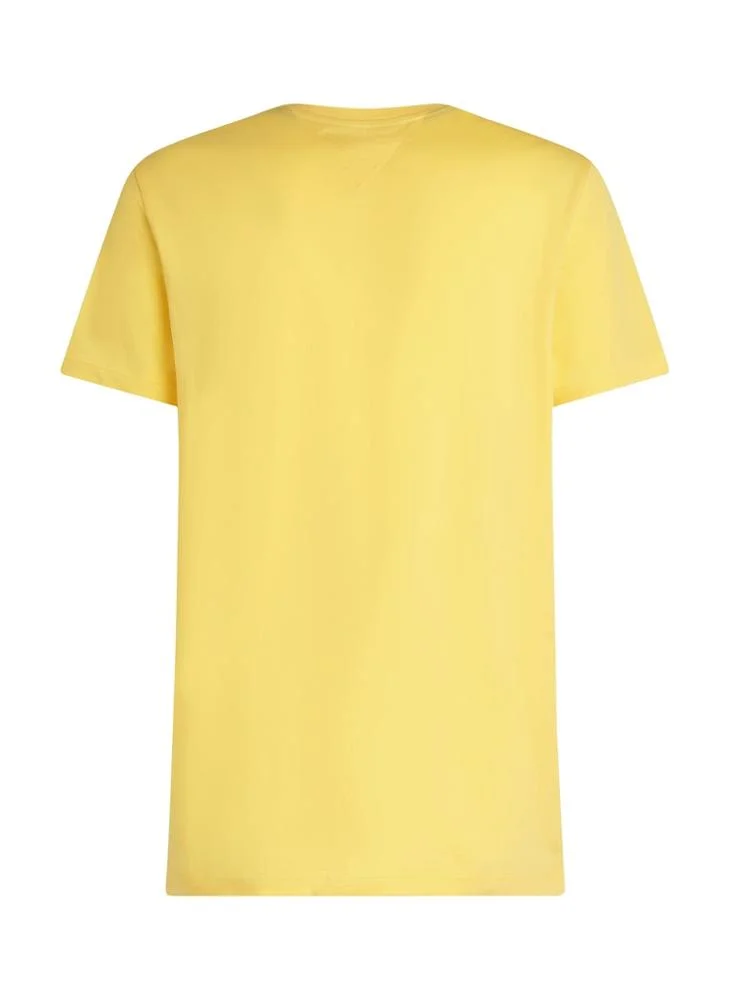 TOMMY HILFIGER Colour To Colour Graphic T-Shirt