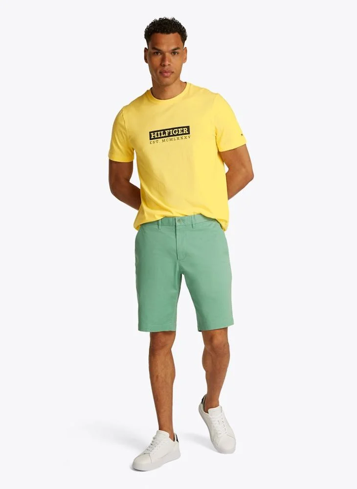TOMMY HILFIGER Colour To Colour Graphic T-Shirt