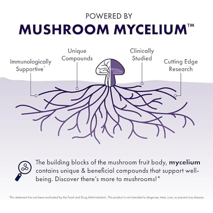 Host Defense Mushrooms Lion's Mane Gummies - Brain Health Support - Mushroom Supplement to Support Focus & Memory Function - Immune & Nervous System Support - Blueberry, 90 Gummies* - Image 4