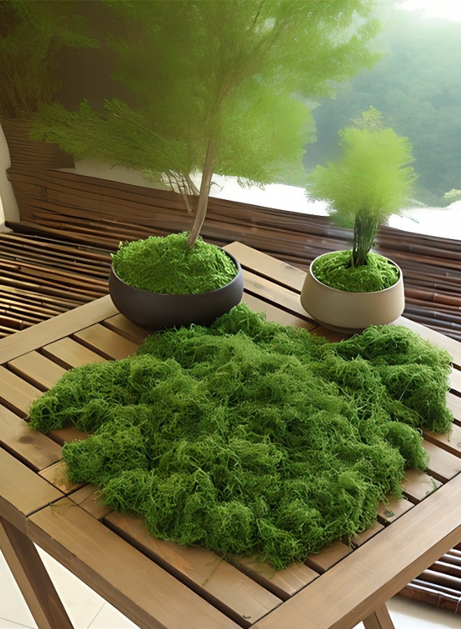 50/100/200g Premium Deep Green Artificial Moss Turf - Ideal for Miniature Landscapes, Bonsai, and Decorative Paving - Image 1