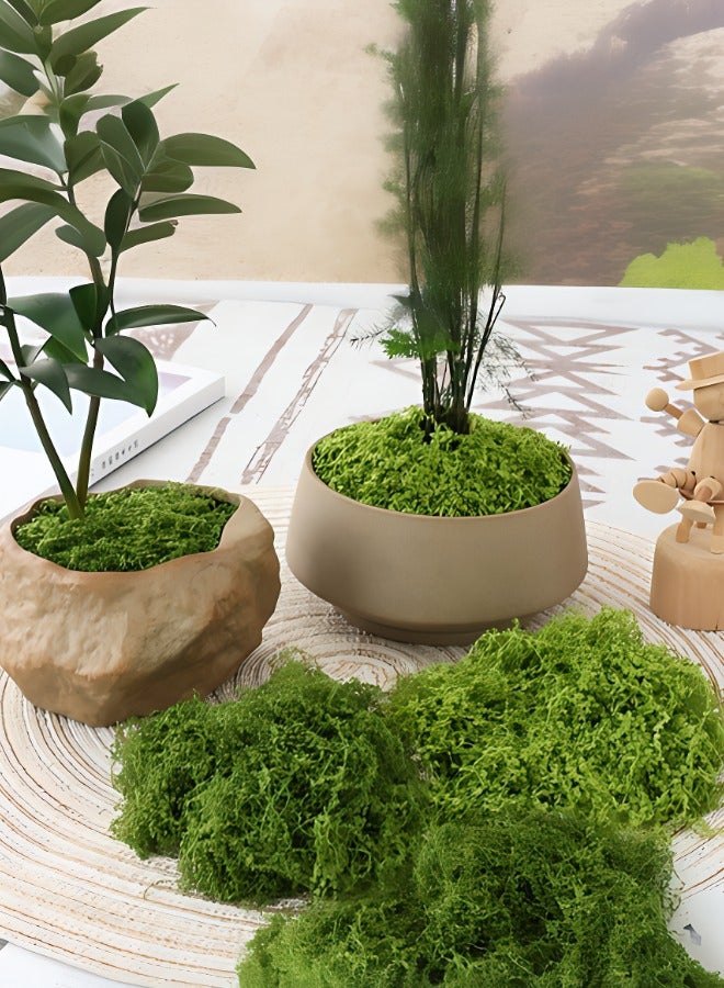 50/100/200g Premium Deep Green Artificial Moss Turf - Ideal for Miniature Landscapes, Bonsai, and Decorative Paving - Image 2
