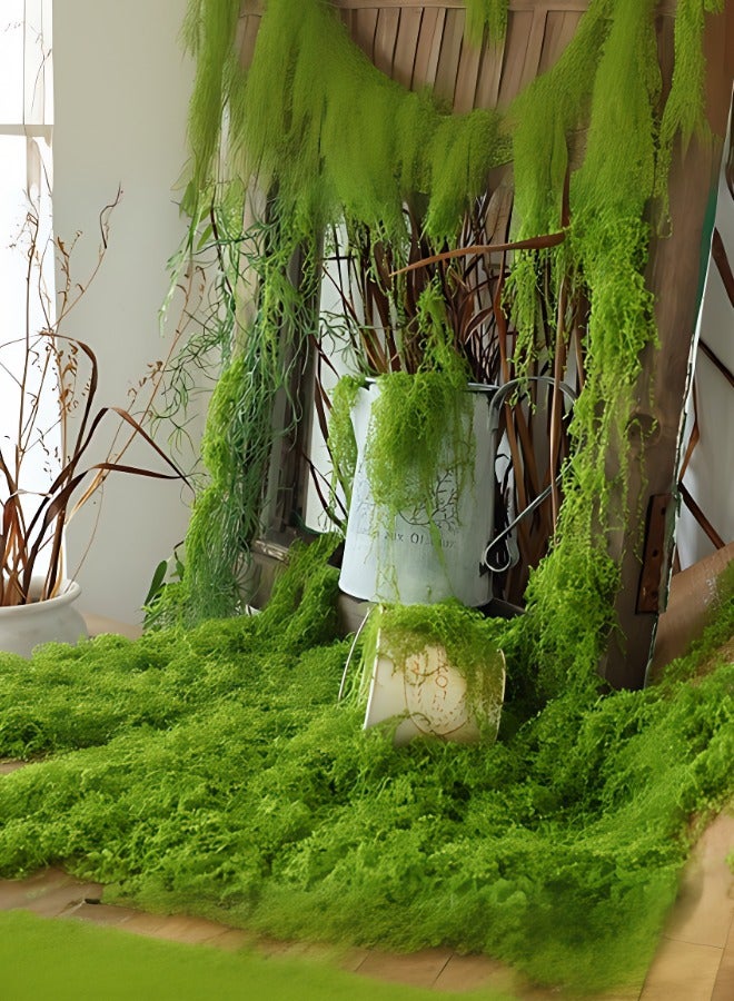 50/100/200g Premium Deep Green Artificial Moss Turf - Ideal for Miniature Landscapes, Bonsai, and Decorative Paving - Image 3