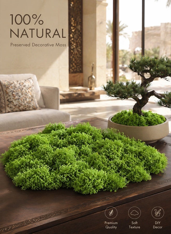 Artificial Moss 50/100/200/500g Fake Moss Faux Moss Carpet Deep Green for Bonsai Miniature Landscape Terrarium Moss Wall DIY Aquarium Wedding Home Garden Decor - Image 1