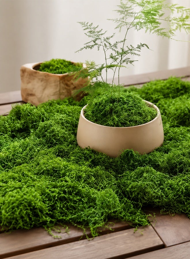 50/100/200g Premium Deep Green Artificial Moss Turf - Ideal for Miniature Landscapes, Bonsai, and Decorative Paving