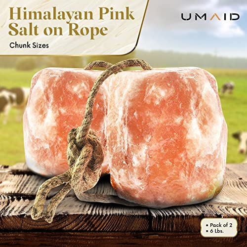 UMAID Himalayan Salt Lick 6 lbs On Rope for Horse, Deer, Goat, and Livestock Animals - Himalayan Salt Block 2 Pack - Image 3