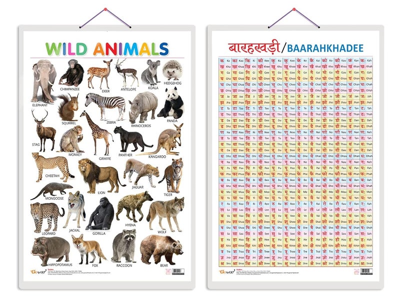 GoWoo Set of 2 Wild Animals and Baarahkhadee Early Learning Educational Charts for Kids | 20"X30" inch |Non-Tearable and Waterproof | Double Sided Laminated ... Kindergarten and Nursery Students - Image 1