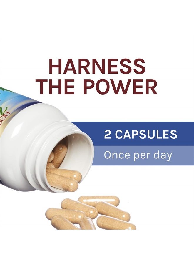 Host Defense , Stamets 7 Capsules, Daily Immune Support, Mushroom Supplement with Lion's Mane and Reishi, Unflavored, 120 - Image 5