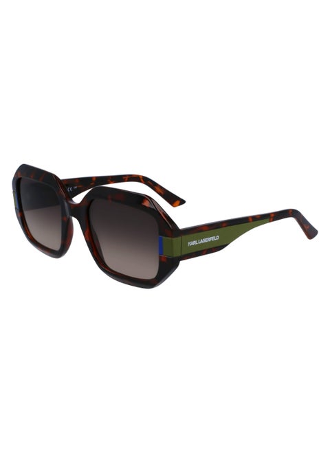 FULL RIM INJECTED INJECTED KARL LAGERFELD SUNS KL6124S 5322 (240) TORTOISE
