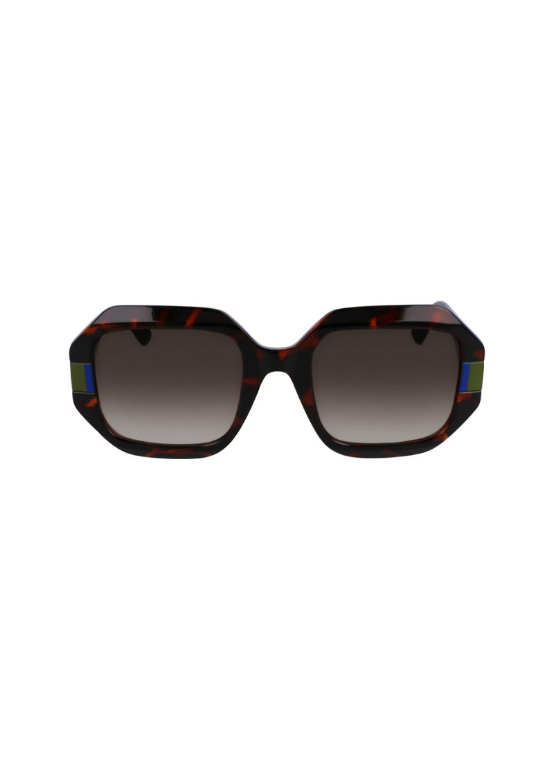 Karl Lagerfeld - FULL RIM INJECTED INJECTED KARL LAGERFELD SUNS KL6124S 5322 (240) TORTOISE - Image 1