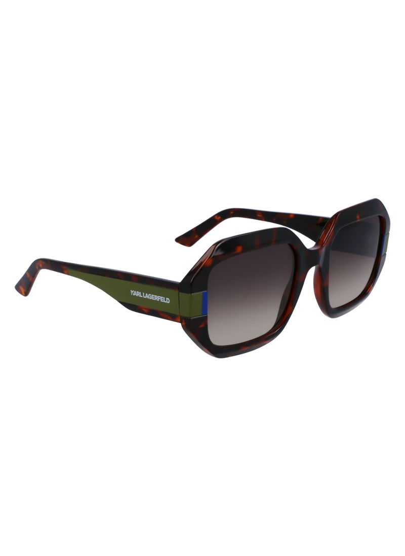 Karl Lagerfeld - FULL RIM INJECTED INJECTED KARL LAGERFELD SUNS KL6124S 5322 (240) TORTOISE - Image 1