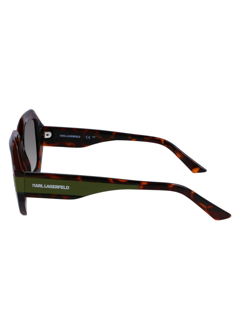 Karl Lagerfeld - FULL RIM INJECTED INJECTED KARL LAGERFELD SUNS KL6124S 5322 (240) TORTOISE - Image 1