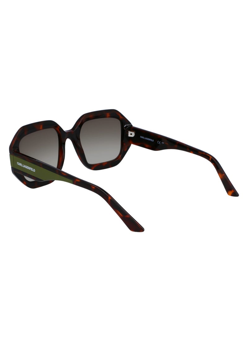 Karl Lagerfeld - FULL RIM INJECTED INJECTED KARL LAGERFELD SUNS KL6124S 5322 (240) TORTOISE - Image 1