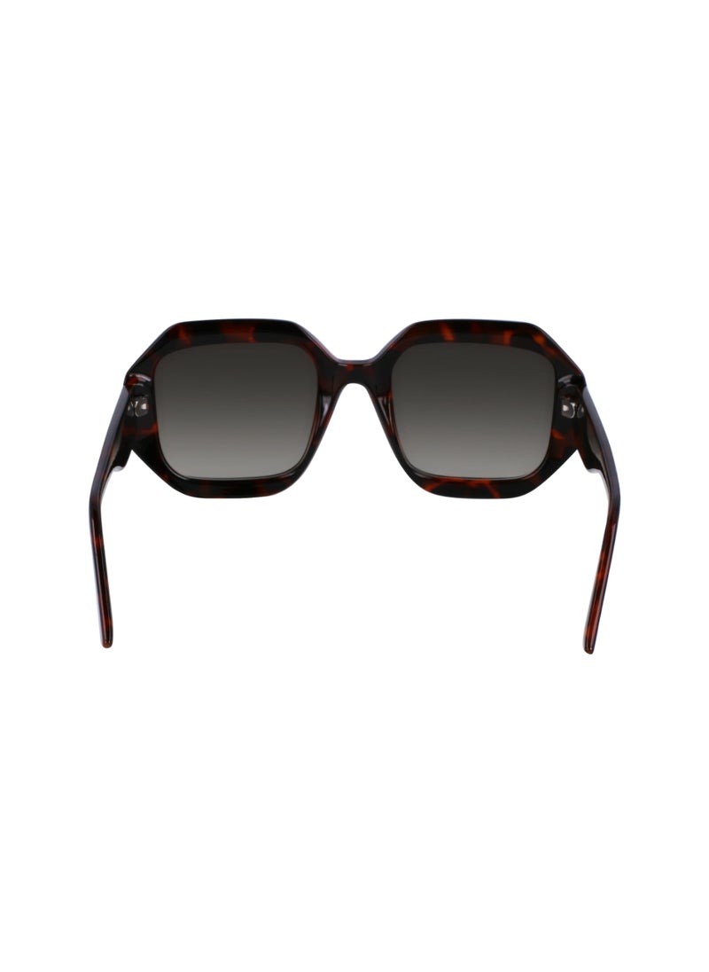 Karl Lagerfeld - FULL RIM INJECTED INJECTED KARL LAGERFELD SUNS KL6124S 5322 (240) TORTOISE - Image 1
