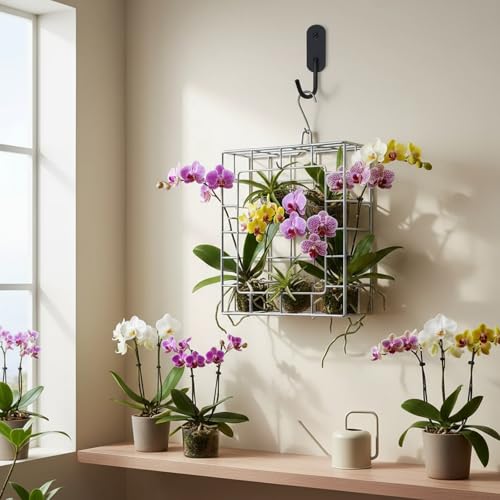 Dranvosk Staghorn Fern Mount Kit Rustproof 304 Stainless Steel Vertical Hanging Basket for Orchids Outdoor Plants Wall Planter Holder Indoor Garden 106 x 102 x 196 Inch - Image 1