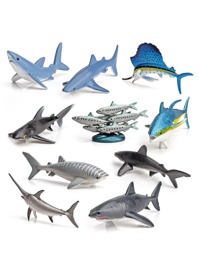 محاكاة نموذج سمكة صغيرة للمحيطات، سمك السردين، سمك القرش الأبيض الكبير، سمك أبو سيف، سمك القرش الحريري، سمك القرش الحوت، القرش الأزرق، اللون: BL-1031 10 سمكة بحرية 63 جم - Image 2