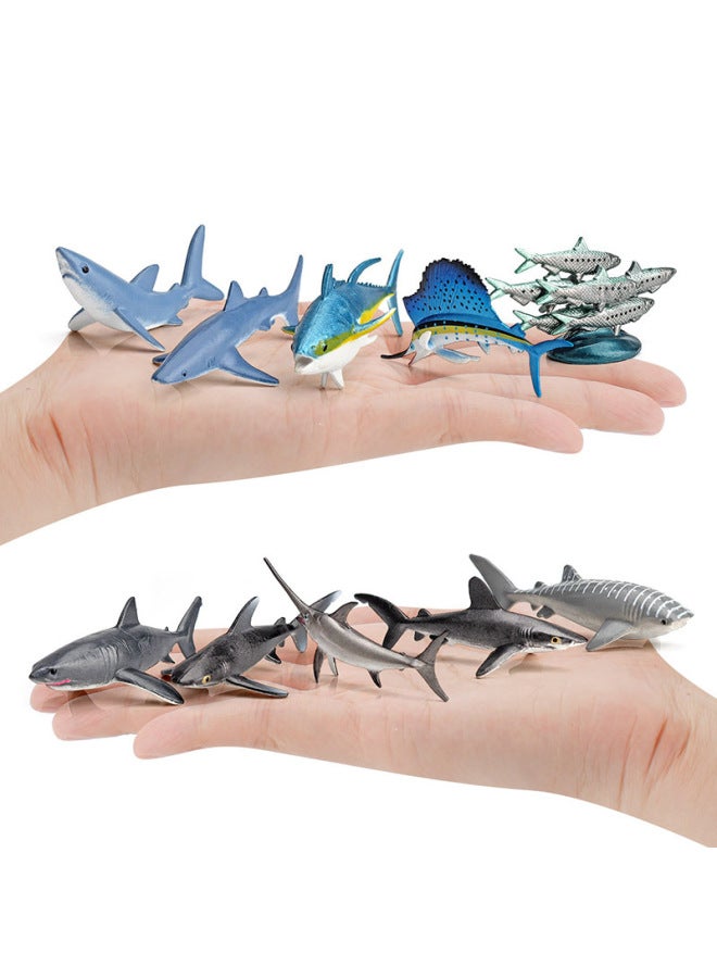 محاكاة نموذج سمكة صغيرة للمحيطات، سمك السردين، سمك القرش الأبيض الكبير، سمك أبو سيف، سمك القرش الحريري، سمك القرش الحوت، القرش الأزرق، اللون: BL-1031 10 سمكة بحرية 63 جم - Image 5