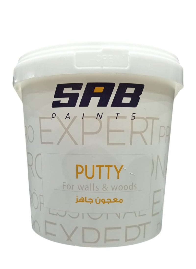 SAB Crack repair wall repair waterproof anti-mildew wall repair paste 1000g  - Image 1