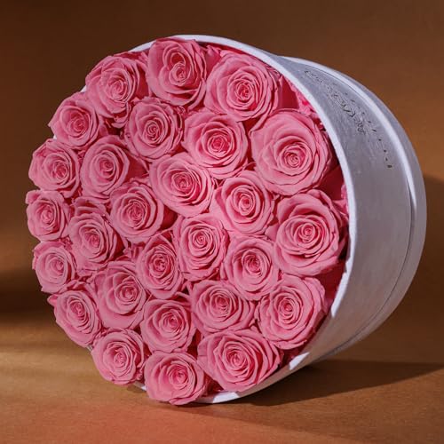 Prifroti 27 Flowers in a Luxury Suede Box, Birthday Gifts for Women, Preserved Flowers, Mothers Day Roses Gift for Mom, Light Pink - Image 2