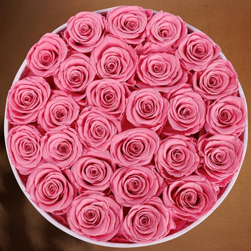 Prifroti 27 Flowers in a Luxury Suede Box, Birthday Gifts for Women, Preserved Flowers, Mothers Day Roses Gift for Mom, Light Pink - Image 5