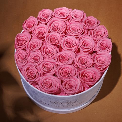 Prifroti 27 Flowers in a Luxury Suede Box, Birthday Gifts for Women, Preserved Flowers, Mothers Day Roses Gift for Mom, Light Pink - Image 4