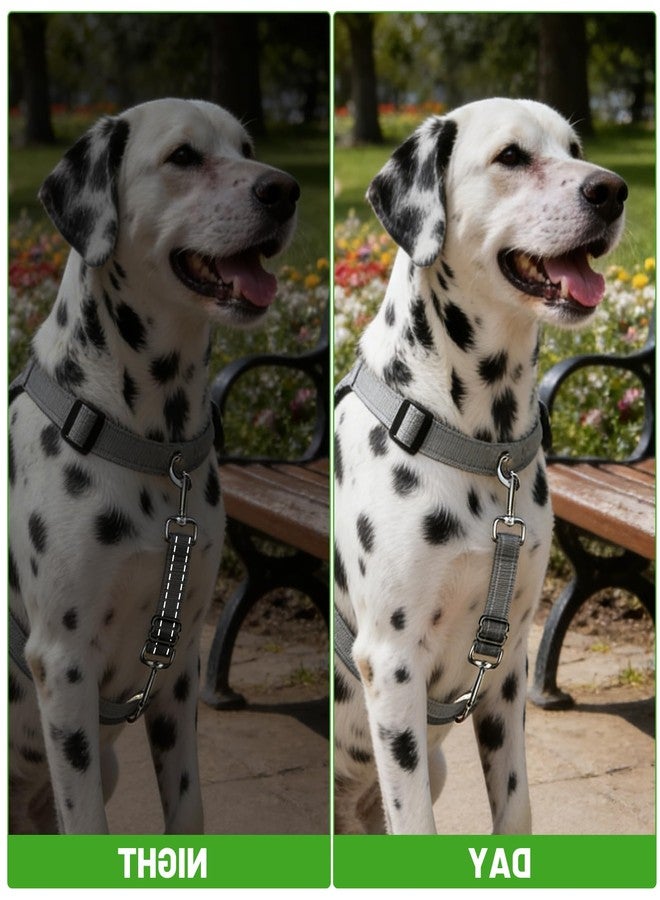 Thrymme 2 Pack Dog Collar Safety Clip, Adjustable Prong Collar Safety Clip, Black & Gray Anti-Escape Harness to Collar Connector for Dog Walking & Training - Image 4