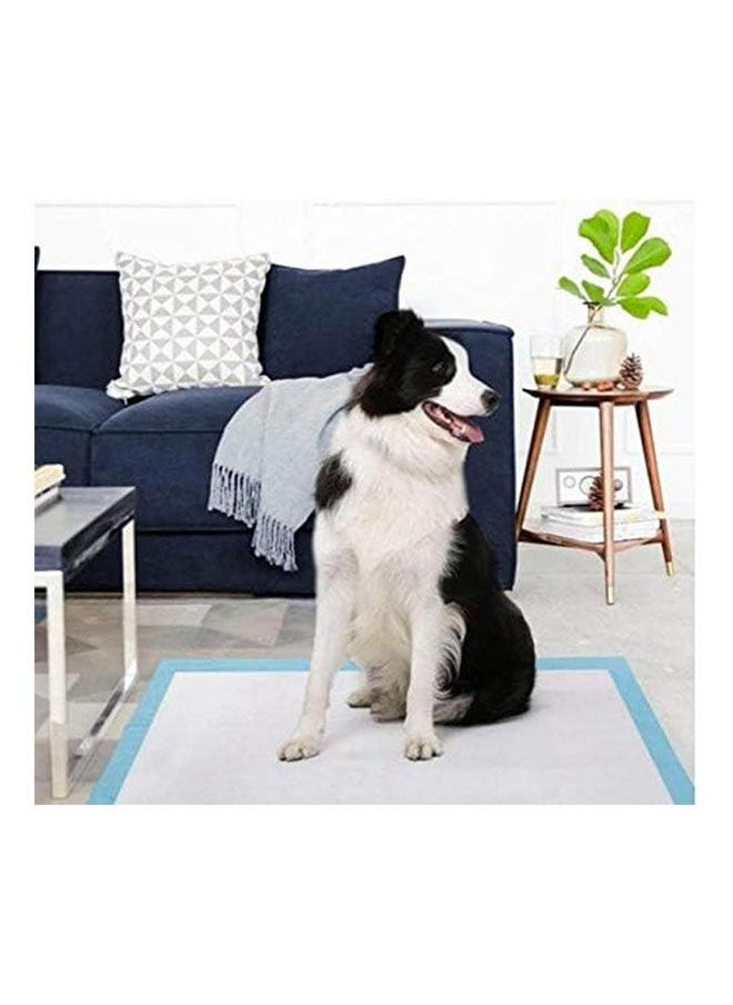 Golden Arrows Dogs Ultra Absorbent Pets Pee Pads With Leak Proof Moisture Locking Technology 20 Pcs - 90x60 cm  - Image 3