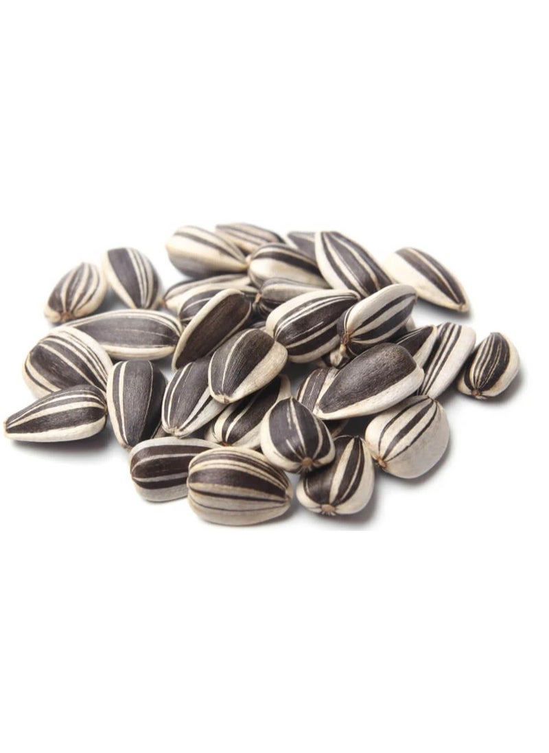 Small Size Sunflower Seeds for Bird (2 KG) - pzsku/ZD09CA73F2BF537616ABAZ/45/_/1713461846/0ecf66f1-08db-48a4-bad9-3379e0447495