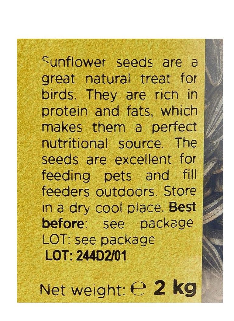 Small Size Sunflower Seeds for Bird (2 KG) - pzsku/ZD09CA73F2BF537616ABAZ/45/_/1713461977/4999b2fd-8c90-4877-ba39-99952ec8c2f0