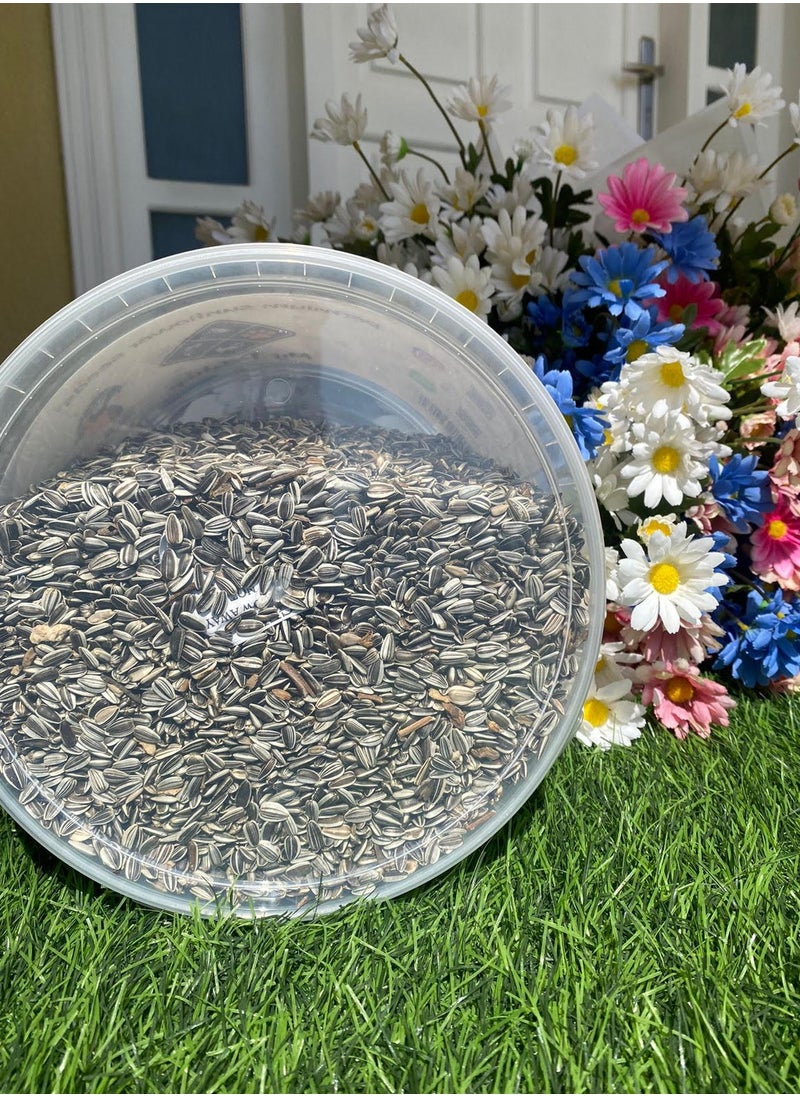 Small Size Sunflower Seeds for Bird (2 KG) - pzsku/ZD09CA73F2BF537616ABAZ/45/_/1719246210/91367fa6-617b-4876-8138-5258b3376d0e