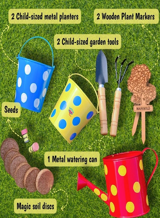 Lattooland Little Gardener's Kit | Complete Gardening Kit for Children 3-8 Year Old| Gardening Tools, Metal planters, Metal Watering can, Soil, Seeds, | Flower Grow Set | Birthday Gift Multicolor - Image 3