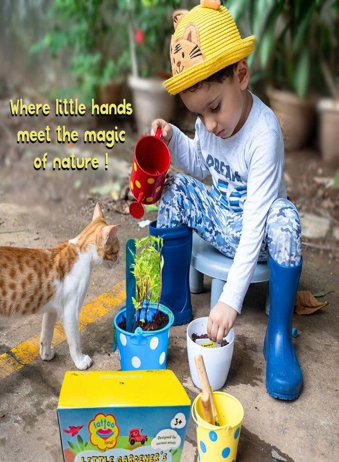 Lattooland Little Gardener's Kit | Complete Gardening Kit for Children 3-8 Year Old| Gardening Tools, Metal planters, Metal Watering can, Soil, Seeds, | Flower Grow Set | Birthday Gift Multicolor - Image 2