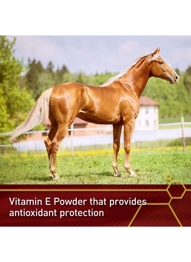 Vita Flex Pro E-5000 Premium Quality Horse Vitamin E, 4 lbs., 128-Day Supply - pzsku/ZD09D03CF467FD05D75EDZ/45/_/1737031651/14202f6c-a910-4ae8-81ee-7917ba859174