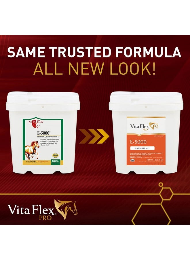 Vita Flex Pro E-5000 Premium Quality Horse Vitamin E, 4 lbs., 128-Day Supply - pzsku/ZD09D03CF467FD05D75EDZ/45/_/1737031657/0055e891-42b3-41ec-928f-f75155cf9424