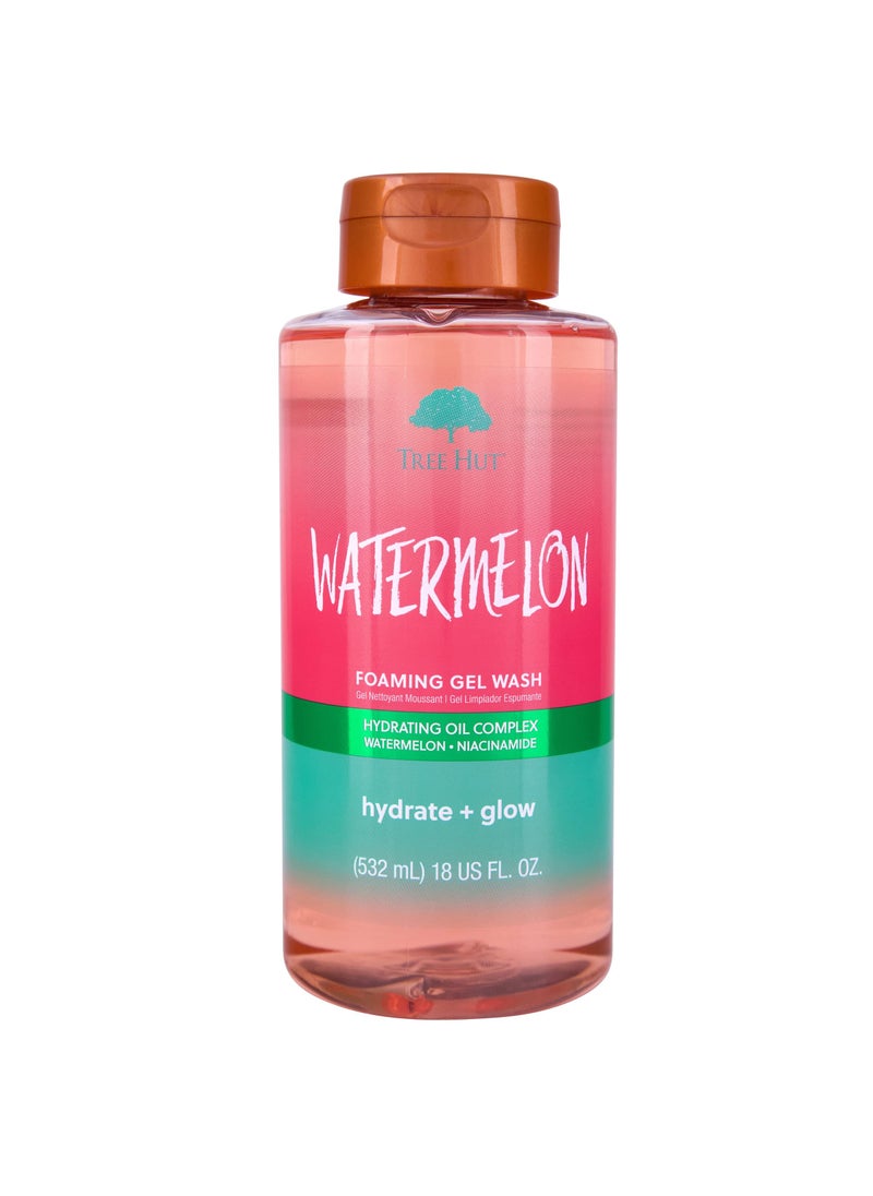 Tree Hut Tree Hut Watermelon Nourishing, Moisturizing & Hydrating Foaming Gel Wash, 18 oz. 