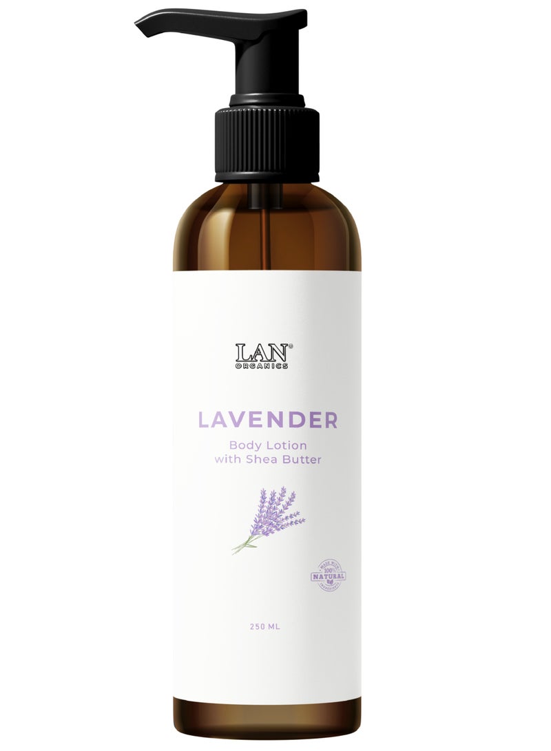 لوشن الجسم باللافندر وزبده الشيا 250 مل