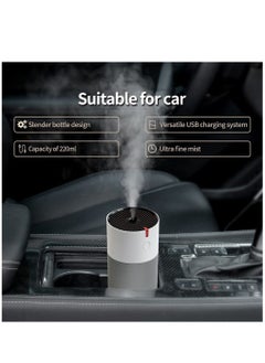 Desktop Humidifier, USB Desktop Car Mini Humidifier, 220ml, Silver, Black - pzsku/ZD09F64D01AD9FD045BD2Z/45/_/1690593996/a2eb28ba-da37-4c1d-ab9d-4bac4bbae117