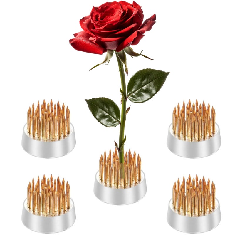 Mini Kenzan Pin Frog 23mm09inch Diameter Floral Ikebana Flower Arranger Holder for Small Vase 5Pcs