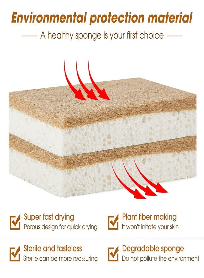 GREENTH PRO 10 Pack Nature Dish Sponge - Natural Kitchen Sponge - Coconut Fiber and Wood Cellulose Scrubber Sponge - Image 4