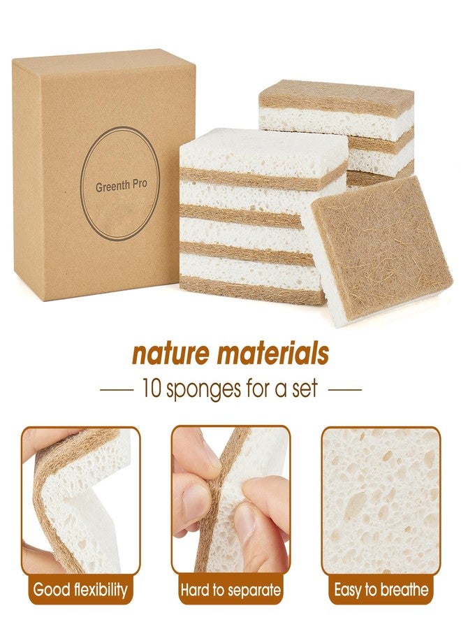 GREENTH PRO 10 Pack Nature Dish Sponge - Natural Kitchen Sponge - Coconut Fiber and Wood Cellulose Scrubber Sponge - Image 3