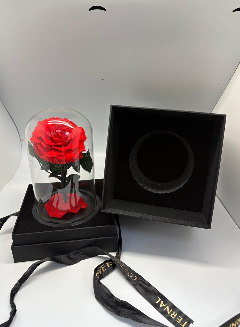 Red Single Forever Rose in Glass Dome – Preserved Single Rose for Lasting Love and Elegance - Image 2
