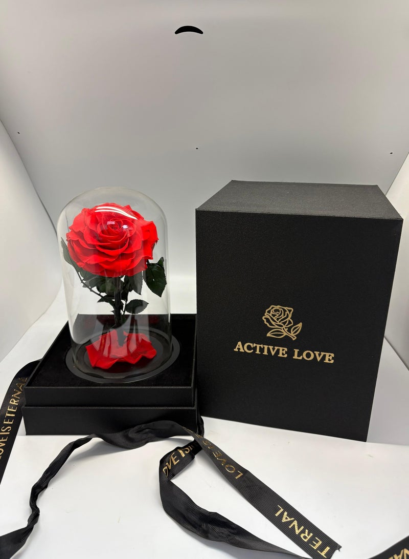 Red Single Forever Rose in Glass Dome – Preserved Single Rose for Lasting Love and Elegance - Image 3