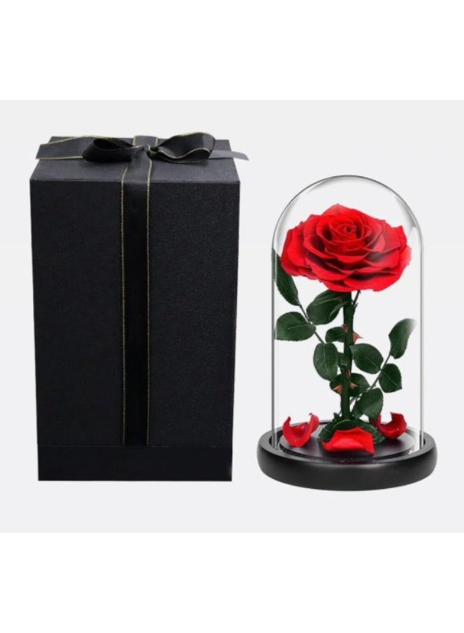 Preserved Red Rose Forever, in Glass dome- Never Withered Flowers, Gift for Wedding, Anniversary, Birthday, Mother's Day Gift, Best Gift for Her Rose - Image 2