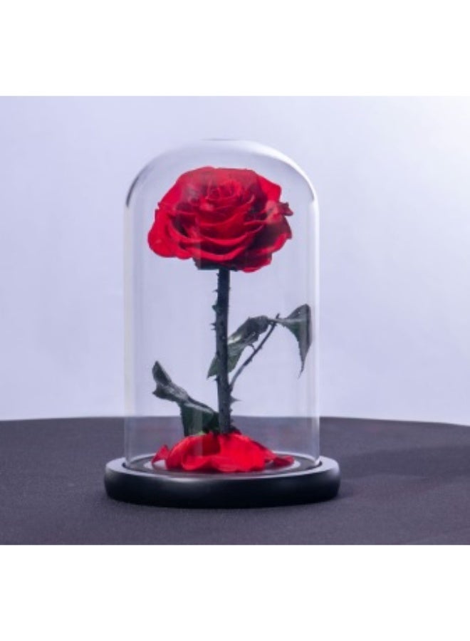 Preserved Red Rose Forever, in Glass dome- Never Withered Flowers, Gift for Wedding, Anniversary, Birthday, Mother's Day Gift, Best Gift for Her Rose - Image 1