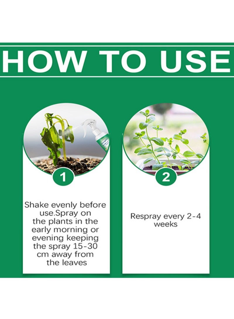 MOONSPRY 2Pcs Chlorophyll Spray，Seedling And Cutting Growth Promoter Universal Whole Plant Nutrient Solution，Flowers，Plants，Fruits，Trees，Green Plants，Green Leaves（100ml+100ml）  - Image 2